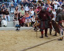 IMG_6421